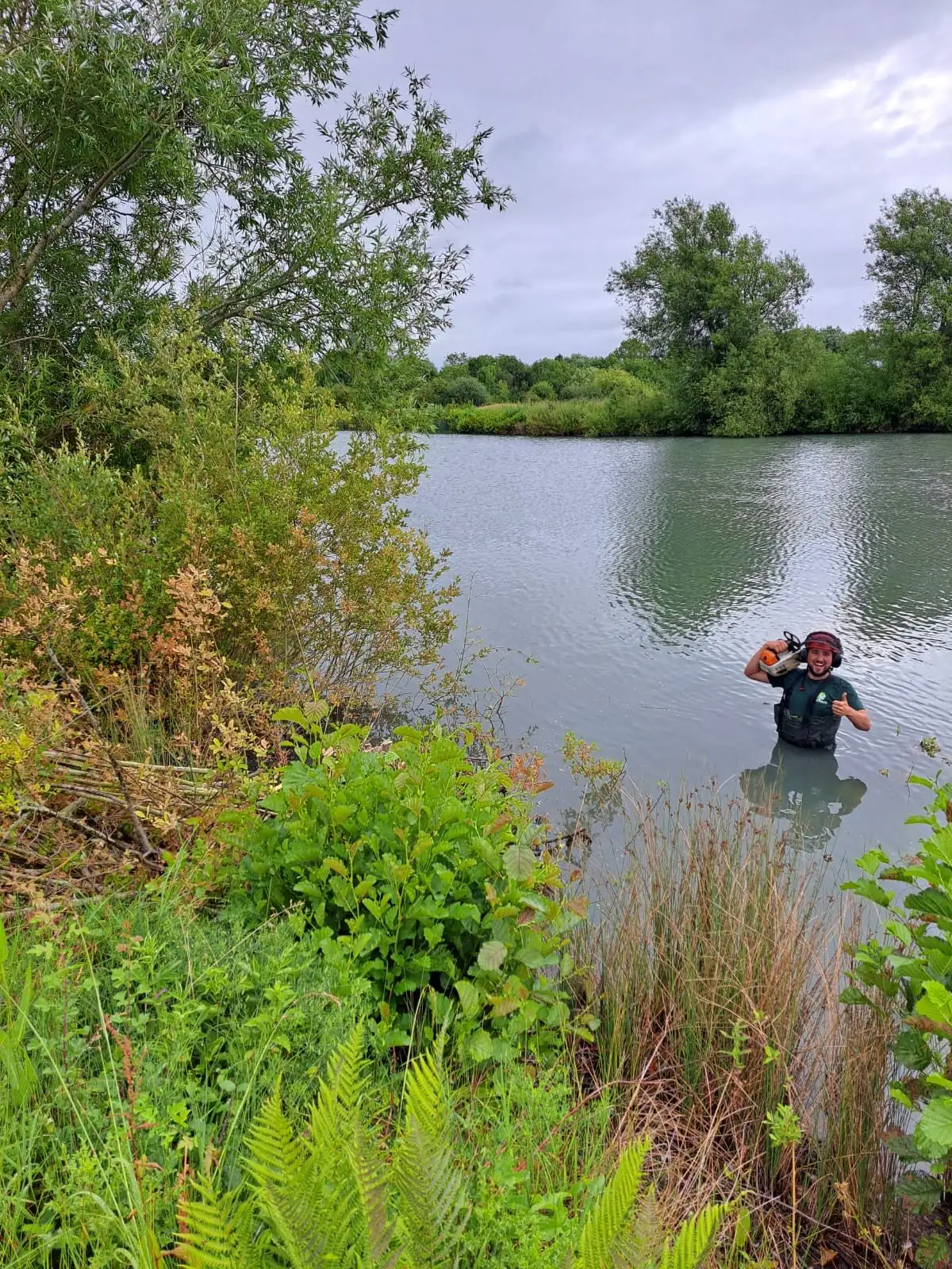 Tree surgeon clearing bankside vegetation beside a lake