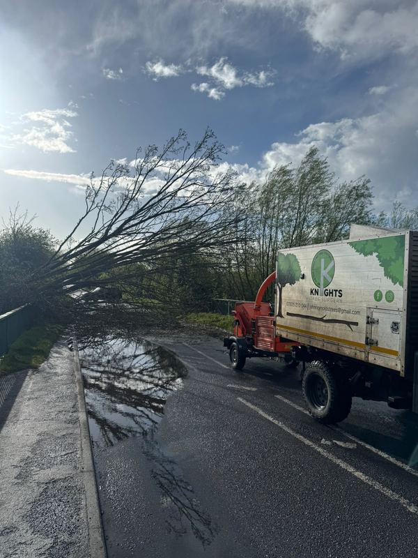 Grab lorry loading cut branches from a road at dusk