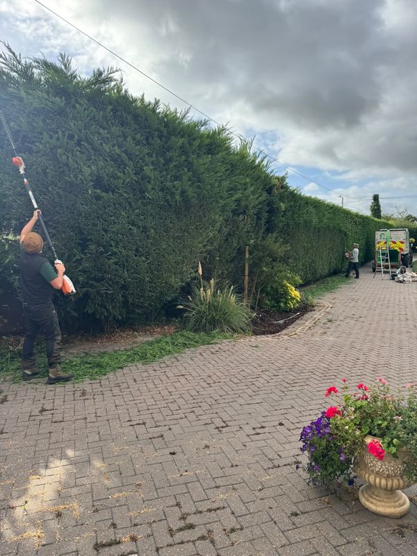 Long clipped hedge running beside a block-paved driveway