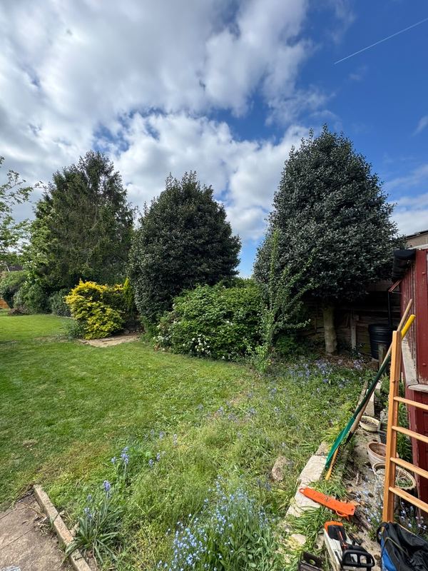 Ladder and equipment set against a garden border in spring