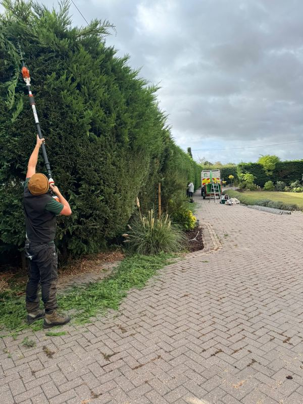 Operative reaching up with a long-reach pole saw to cut the top of a tall hedge