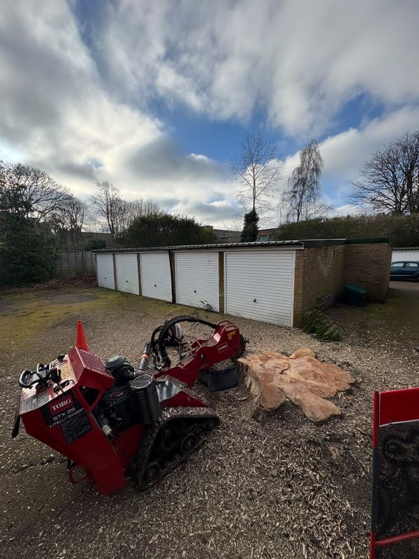 Stump grinder at work beside a row of garages with fresh chippings on the ground