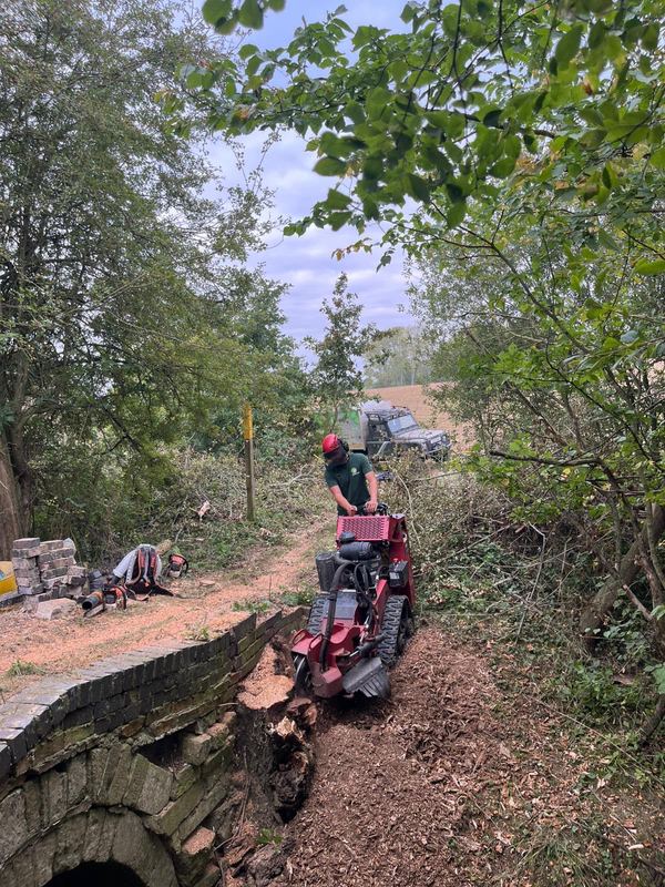 Tracked stump grinder working on a steep earth bank beside a path