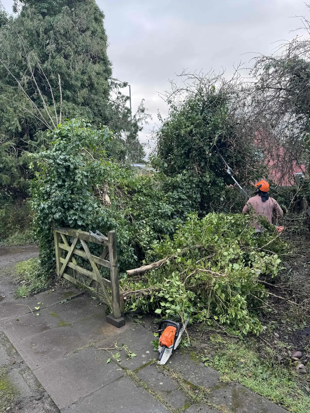 Cut branches and brash stacked beside a garden gate ready for chipping
