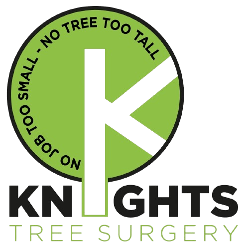 Knights Tree Surgery